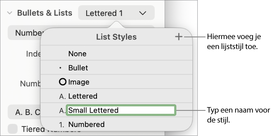 Het pop‑upmenu 'Lijststijlen' met een plusknop in de rechterbovenhoek en een tijdelijke stijlnaam waarvan de tekst geselecteerd is.
