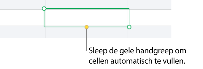 Een geselecteerde cel met een gele greep die je kunt slepen om cellen automatisch te vullen.