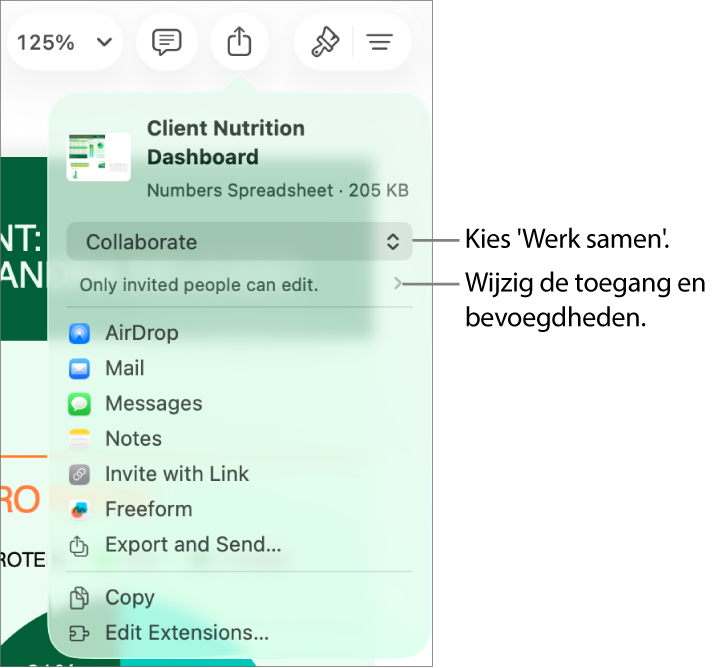 Het Deel-menu waarin bovenin 'Werk samen' is geselecteerd. Eronder staan toegangsinstellingen en bevoegdheden.
