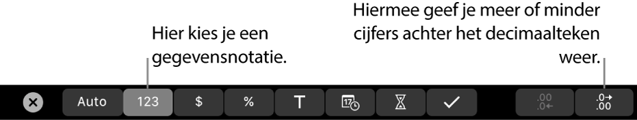 De Touch Bar op een MacBook Pro met regelaars voor het kiezen van een gegevensnotatie en het toevoegen of verwijderen van cijfers achter het decimaalteken.