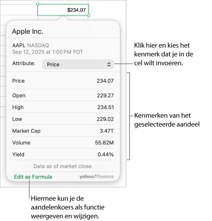 Het dialoogvenster voor het invoeren van aandelenkenmerken, met Apple als het geselecteerde aandeel.