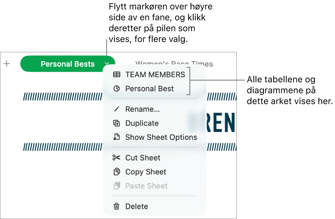 En regnearkfane med snarveismenyen åpen, som viser valg, inkludert Dupliser.