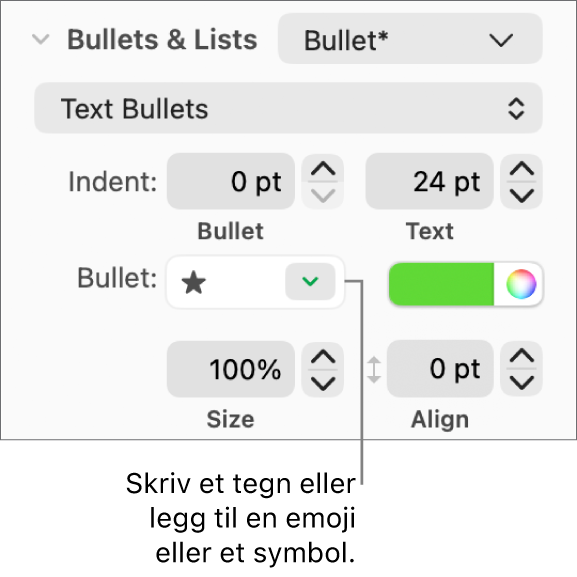 Punkttegn og lister-delen i Format-sidepanelet. Punkttegn-feltet viser en stjerneemoji.