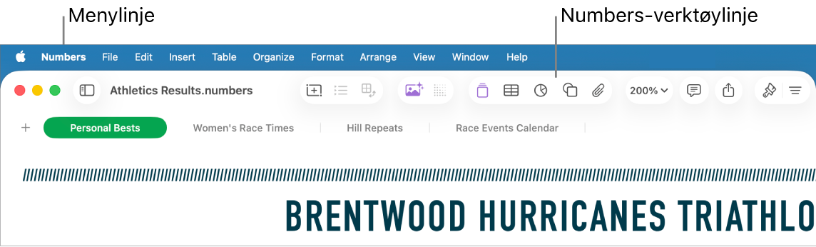 Menylinjen øverst på skjermen med menyene Apple, Numbers, Arkiv, Rediger, Sett inn, Tabell, Organiser, Format, Ordne, Vis, Vindu og Hjelp. Under menylinjen er det et åpent Numbers-regneark med verktøylinjeknapper øverst for Vis, Zoom, Legg til kategori, Pivottabell, Sett inn, Tabell, Diagram og Tekst.
