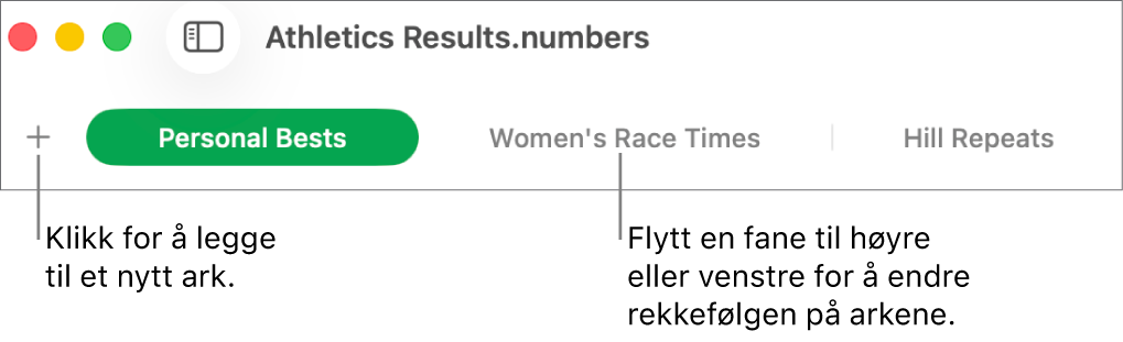 Fanelinjen for å legge til et nytt ark og omorganisere ark.