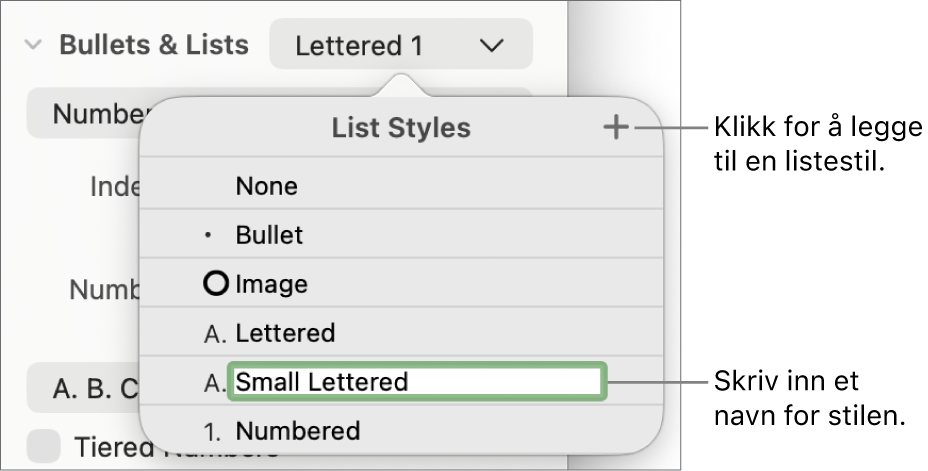 Listestiler-lokalmenyen med en Legg til-knapp øverst i høyre hjørne og et plassholderstilnavn med teksten markert.
