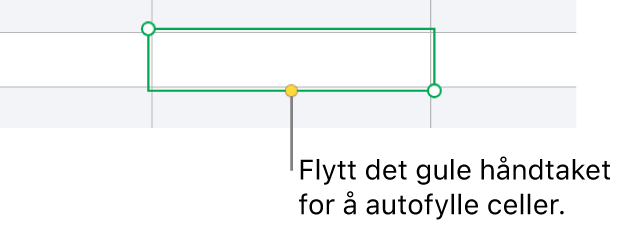 En markert celle med et gult håndtak som du kan dra i for å autofylle celler.