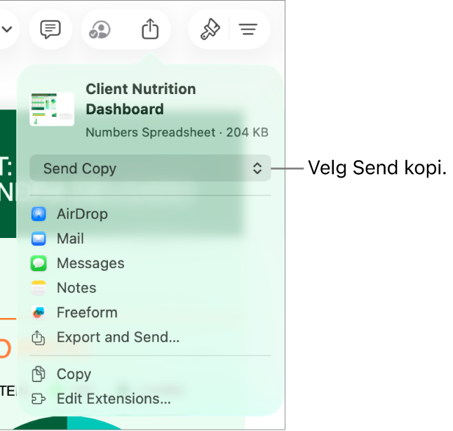 Del-menyen med Send kopi markert øverst.