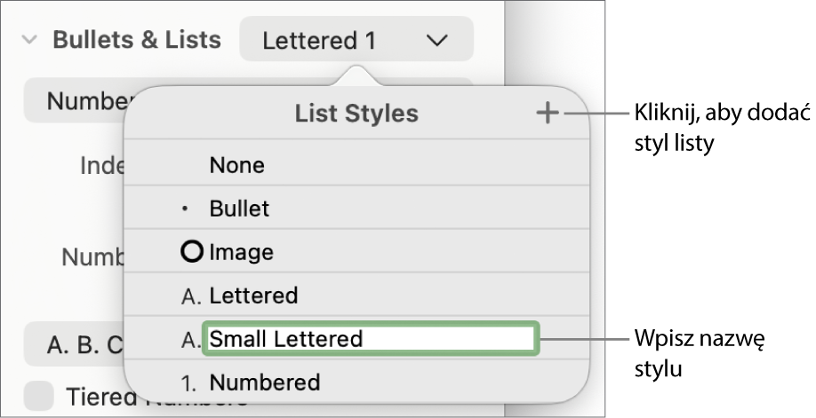 Menu podręczne Style listy z przyciskiem Dodaj w prawym górnym rogu oraz zaznaczoną zastępczą nazwą stylu.