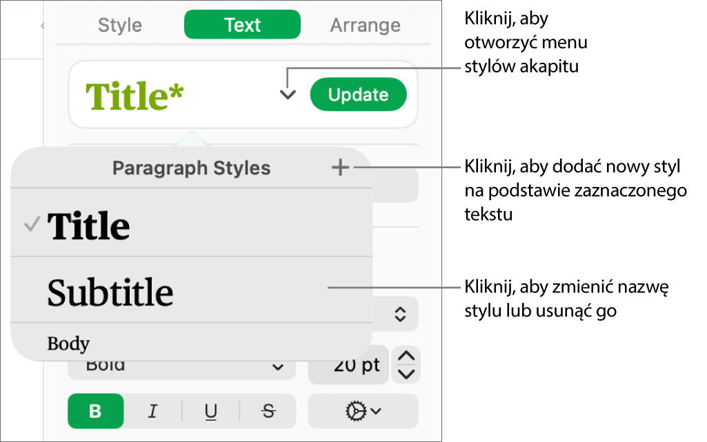 Menu Style akapitu, zawierające narzędzia pozwalające na dodawanie lub zmienianie stylu.