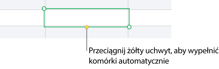 Zaznaczona komórka z żółtym uchwytem, który można przeciągnąć, aby automatycznie wypełnić komórki.