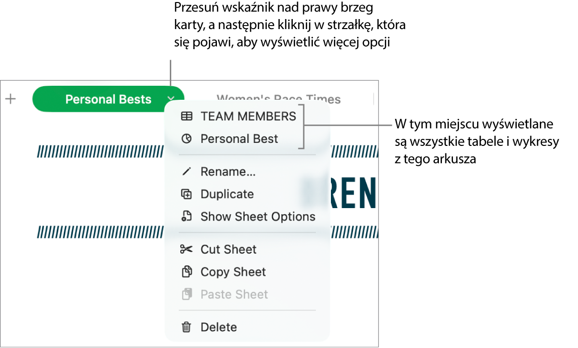 Karta arkusza kalkulacyjnego z otwartym menu podręcznym, zawierającym listę poleceń, w tym polecenie Powiel.