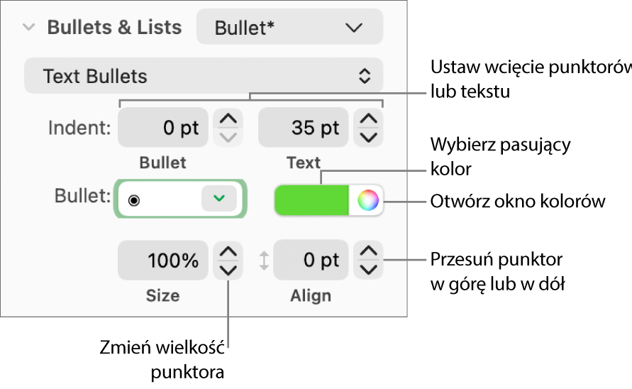 Sekcja Punktory i listy z etykietami wskazującymi narzędzia wcięć punktorów i tekstu, koloru punktora, wielkości punktora oraz wyrównywania.