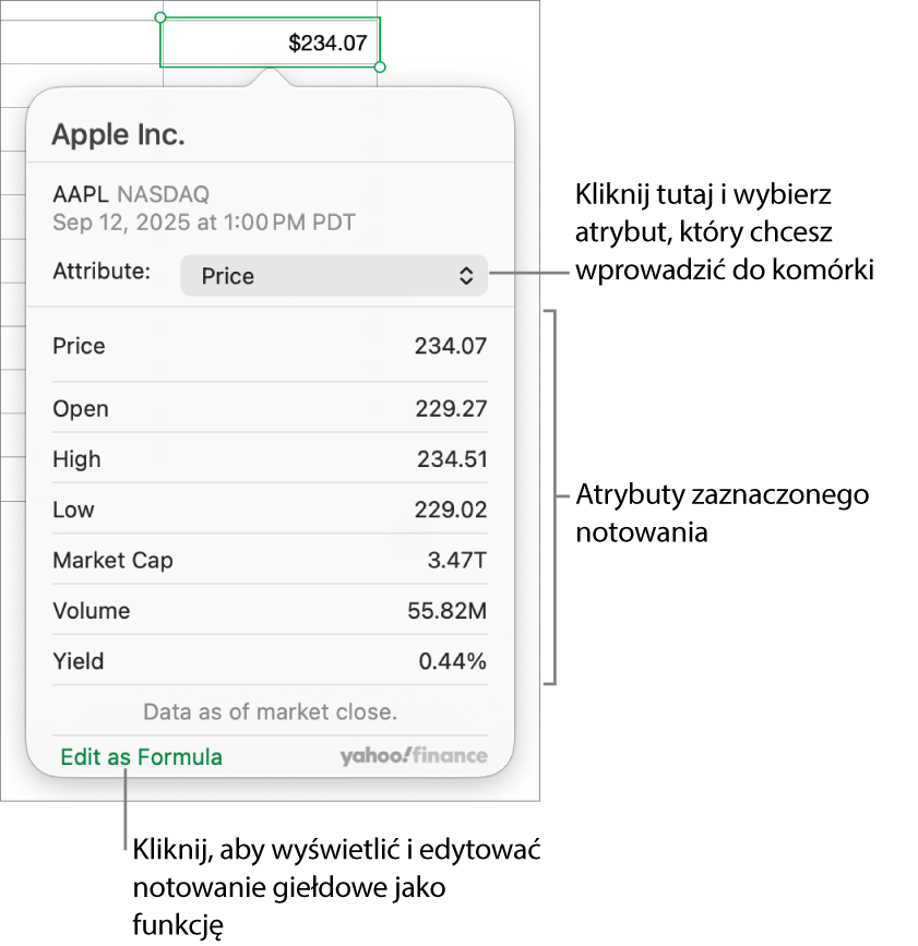 Pole dialogowe pozwalające na wprowadzanie informacji o atrybutach akcji; w polu tym wybrane są akcje Apple