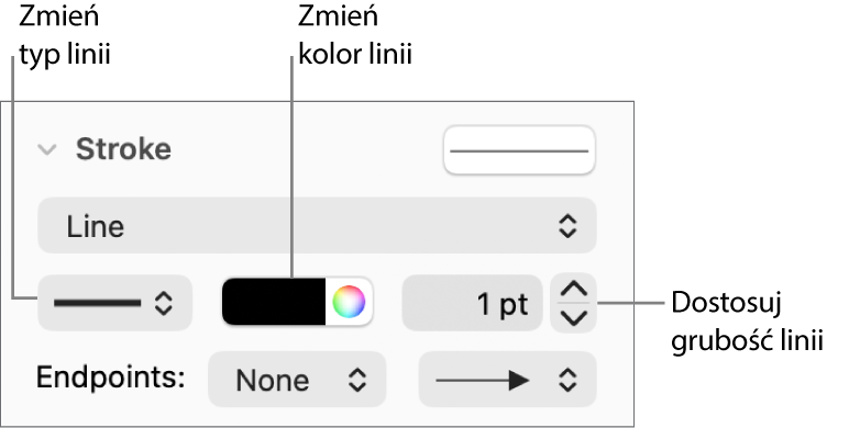 Narzędzia obrysu służące do ustawiania punktów końcowych, grubości linii oraz koloru.