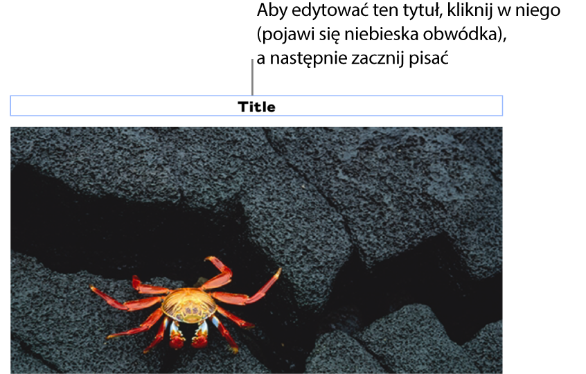 Tytuł zastępczy o treści „Tytuł” widoczny powyżej zdjęcia. Niebieska ramka wokół pola tytułu wskazuje, że jest on zaznaczony.