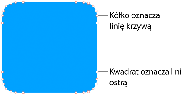 Kształt z edytowalnymi punktami.