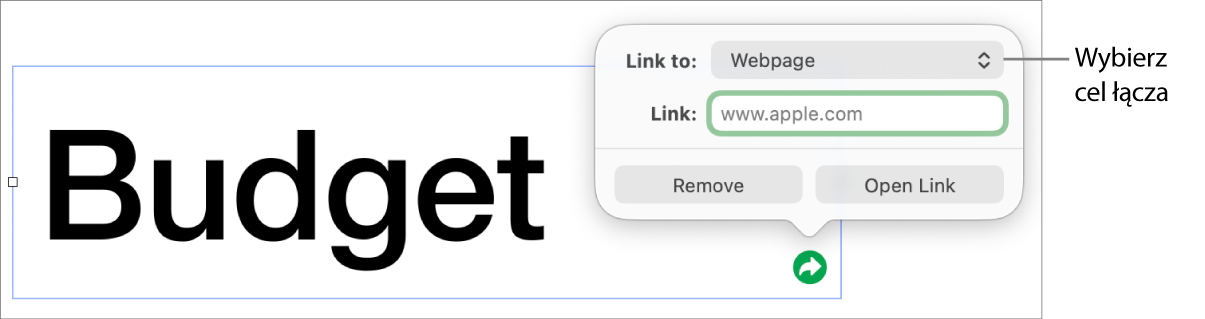 Narzędzia edytora łączy; wybrane jest narzędzie Strona www; na dole znajdują się przyciski Usuń i Otwórz łącze.