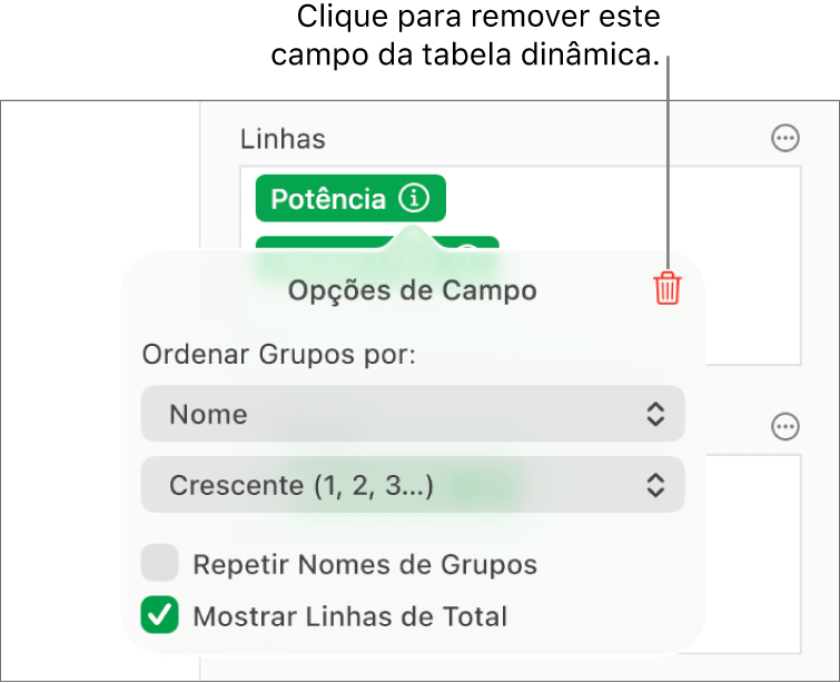 O menu Opções de Campo, mostrando os controles para agrupar e classificar dados, assim como a opção de remover um campo.