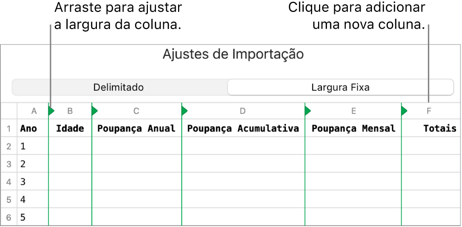 Ajustes de importação para um arquivo de texto de largura fixa.