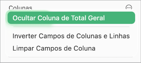O menu Mais Opções de Campo, mostrando os controles para ocultar totais gerais, inverter campos de coluna e linha, e limpar campos.