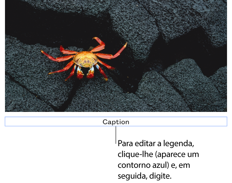 O marcador de posição de legenda, “Legenda”, aparece sob a fotografia; um contorno azul em redor do campo de legenda para mostrar que está selecionado.