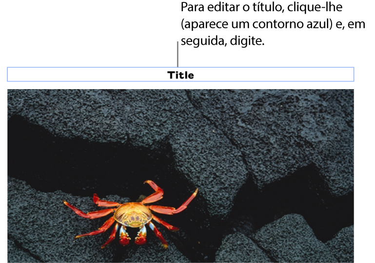 O marcador de posição de título, “Título”, aparece sob a fotografia; um contorno azul em redor do campo de título para mostrar que está selecionado.