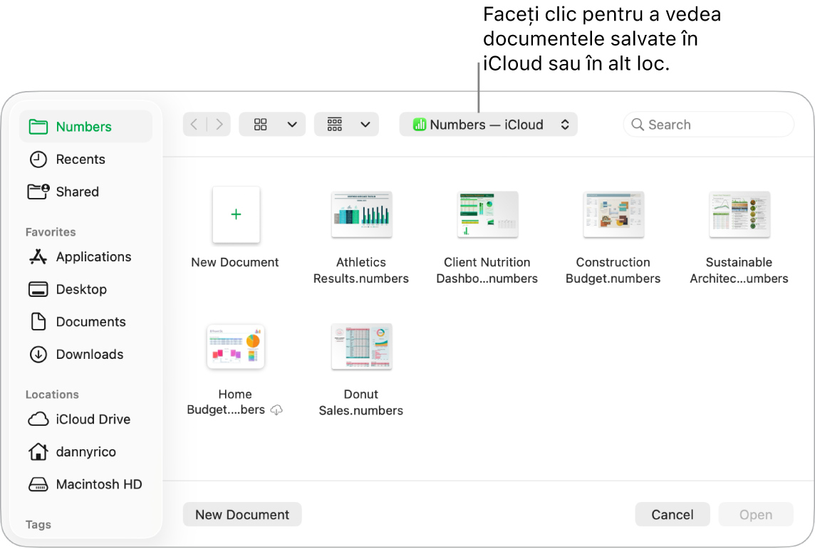 Dialogul Deschide cu bara laterală deschisă în stânga și iCloud Drive selectat în meniul pop-up din partea de sus. Dosarele pentru Keynote, Numbers și Pages apar în dialog împreună cu un buton Document nou.