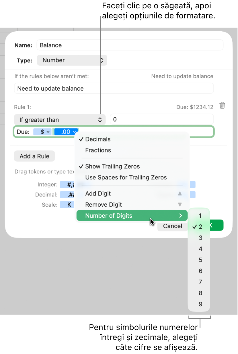 Fereastra de formatare personalizată a celulei cu comenzi pentru alegerea opțiunilor personalizate de formatare.