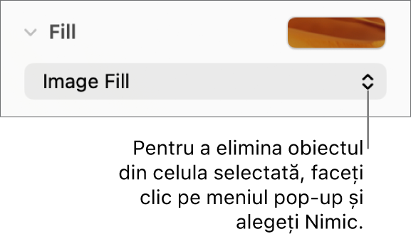 Comanda pentru eliminarea unui obiect din celula selectată.