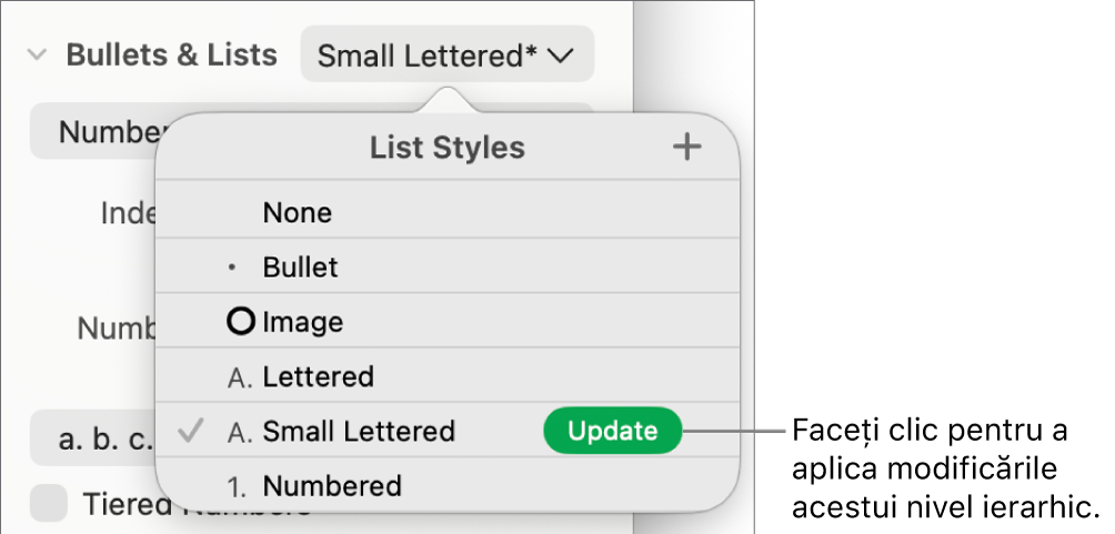 Meniul pop-up Stiluri de listă, cu un buton Actualizează lângă numele noului stil.