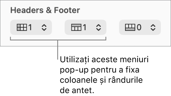 Meniuri pop-up pentru adăugarea într-un tabel a coloanelor și rândurilor de antet și subsol și pentru fixarea rândurilor și coloanelor de antet.