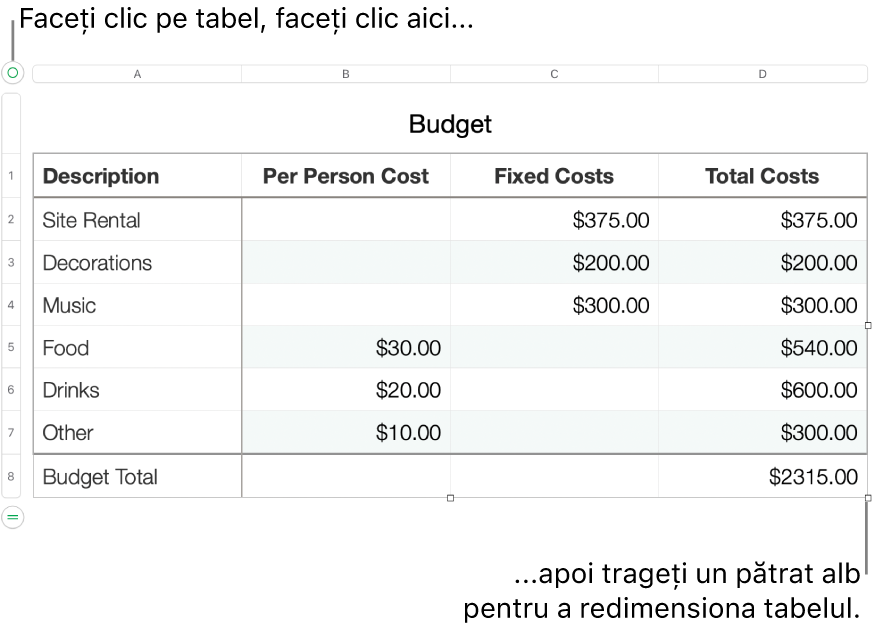 Un tabel selectat, cu pătrate albe pentru redimensionare.