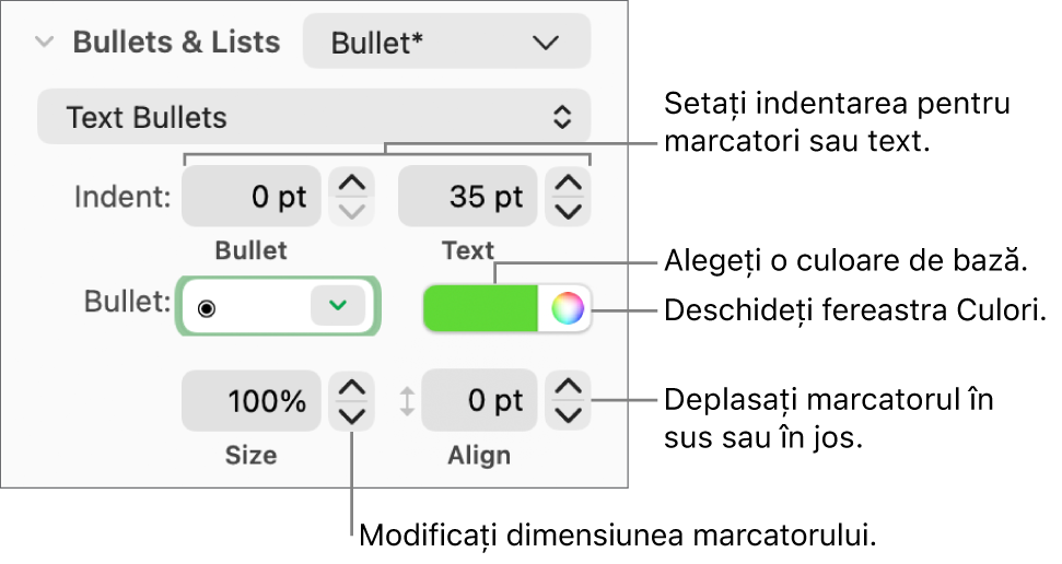 Secțiunea Marcatori/liste cu explicații pentru comenzile de indentare cu marcator și text, culoarea marcatorului, dimensiunea marcatorului și aliniere.