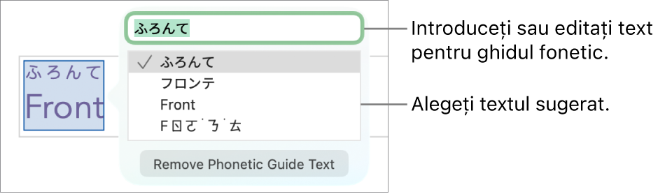 Se va deschide ghidul fonetic pentru un cuvânt, cu explicații pentru câmpul text și textul sugerat.