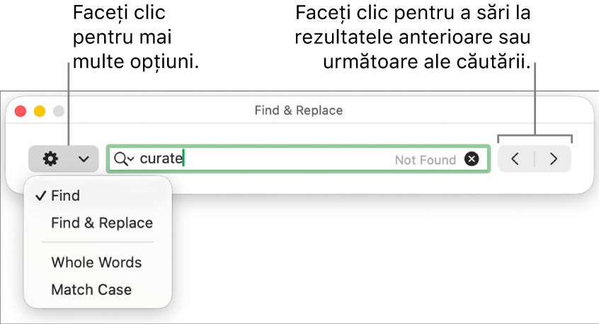 Fereastra Găsește și înlocuiește cu meniul pop-up afișând opțiunile Găsește, Găsește și înlocuiește, Cuvinte complete și Majuscule/minuscule. Săgețile din dreapta vă permit să treceți la rezultatele anterioare sau următoare ale căutării.