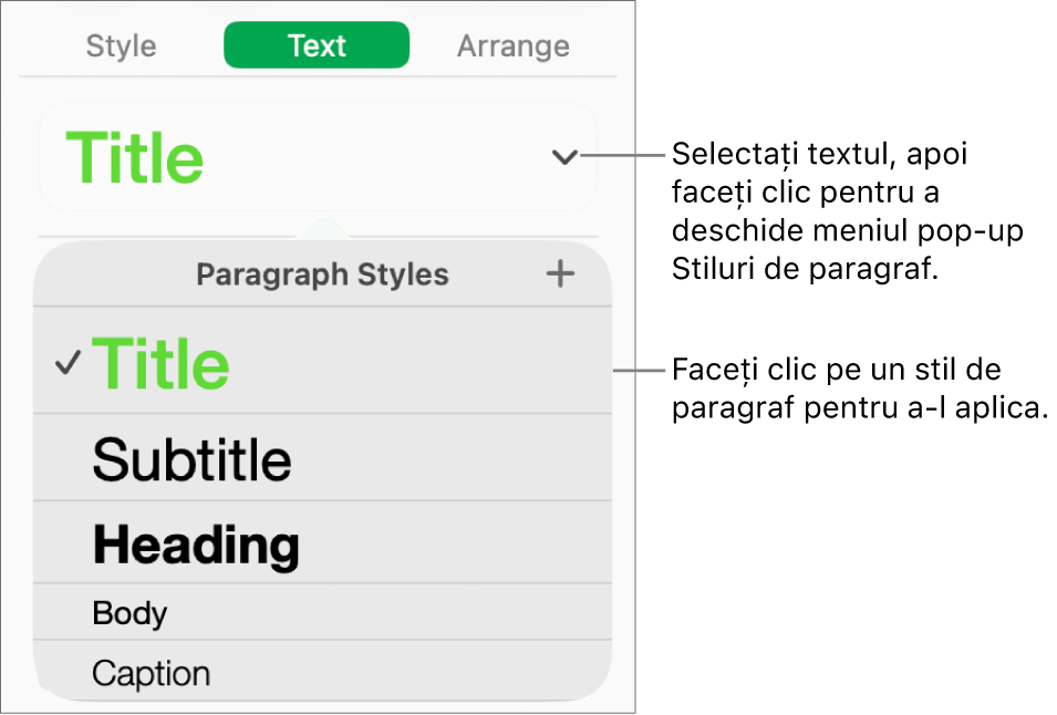 Meniul Stiluri de paragraf.