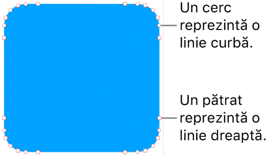 Formă cu puncte editabile.