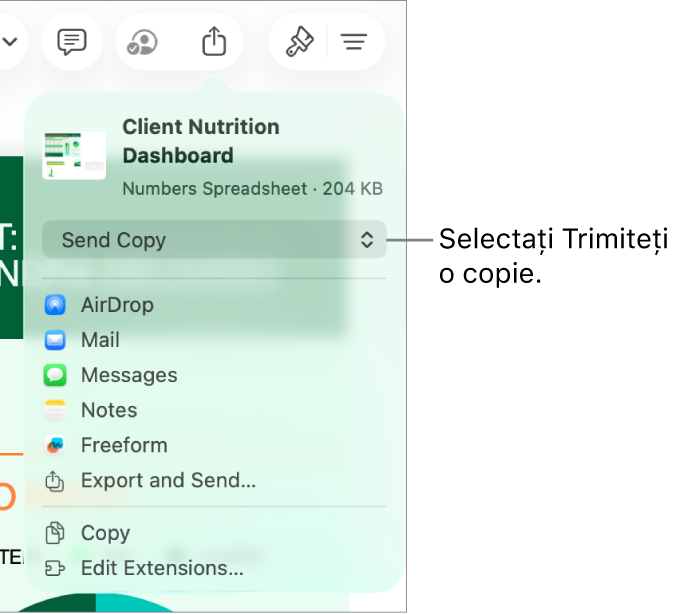 Meniul Partajează, cu opțiunea Trimite o copie selectată în partea de sus.