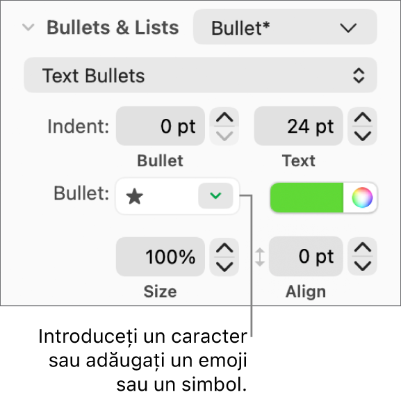 Secțiunea Marcatori și liste din bara laterală Format. Câmpul Marcatori afișează un emoji stea.