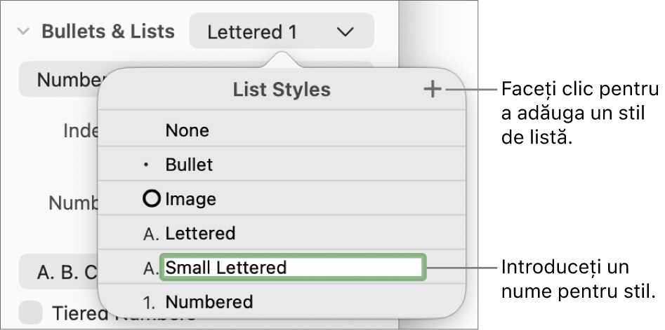 Meniul pop-up Stiluri de listă, cu un buton Adaugă în colțul din dreapta sus și un nume de stil substituent cu textul aferent selectat.