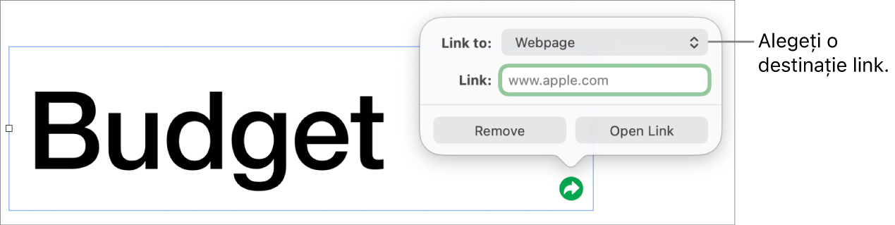 Comenzile editorului de linkuri cu opțiunea Pagină web selectată și butoanele Elimină și Deschide linkul în partea de jos.