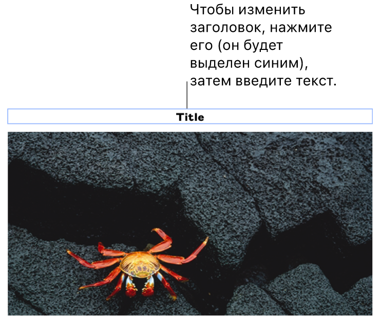 Под фотографией отображается заполнитель «Заголовок»; синяя рамка вокруг поля заголовка показывает, что оно выбрано.