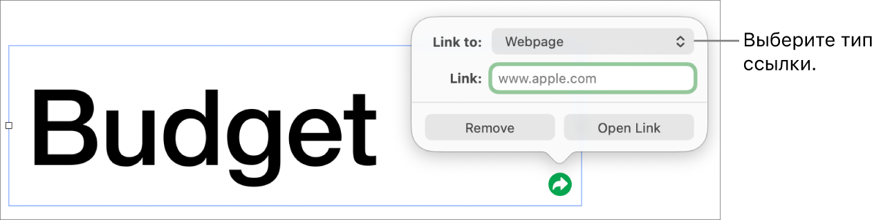 Элементы управления редактора ссылок; выбран элемент «Веб-страница». В нижней части экрана показаны кнопки «Удалить» и «Открыть ссылку».
