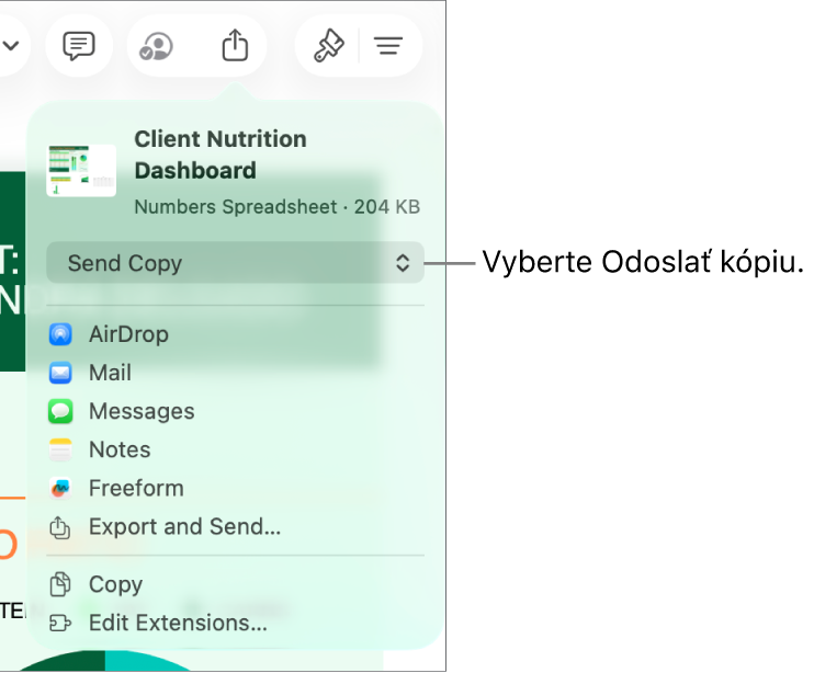 Menu Zdieľať s vybranou možnosťou Odoslať kópiu vo vrchnej časti.