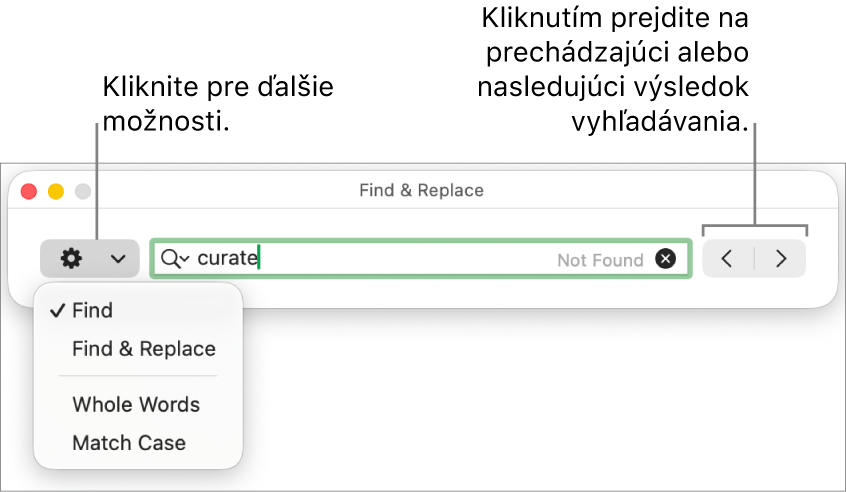 Okno Nájsť a nahradiť s vyskakovacím menu zobrazujúcim možností Hľadať, Hľadať a nahradiť, Celé slová a Rozlišovať veľkosť. Šípky napravo umožňujú preskočiť na predchádzajúce alebo ďalšie výsledky vyhľadávania.