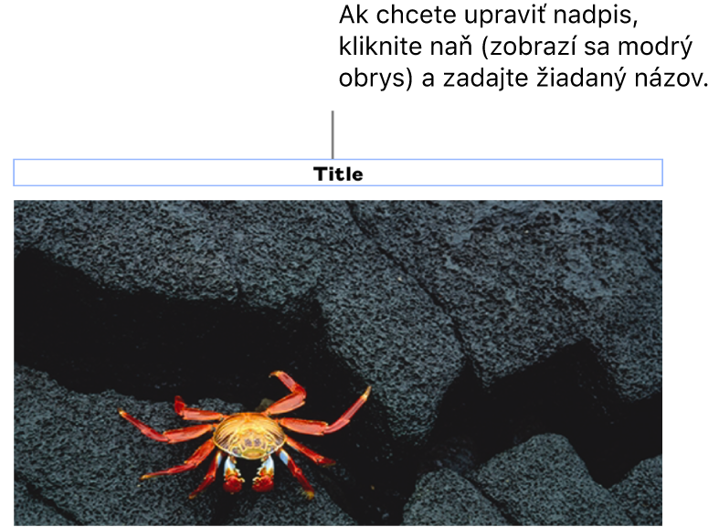 Pod fotkou sa zobrazí vzorový názov „Názov“. Okolo poľa názvu sa zobrazí modrý obrys, čo znamená, že je označený.