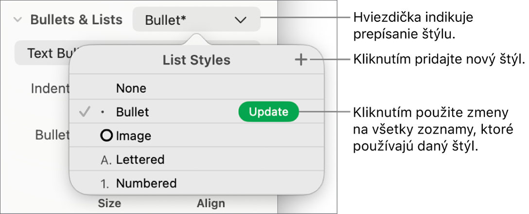 Vyskakovacie menu Štýly zoznamu s hviezdičkou označujúcou prepísanie, popismi tlačidla Nový štýl a submenu možností na správu štýlov.