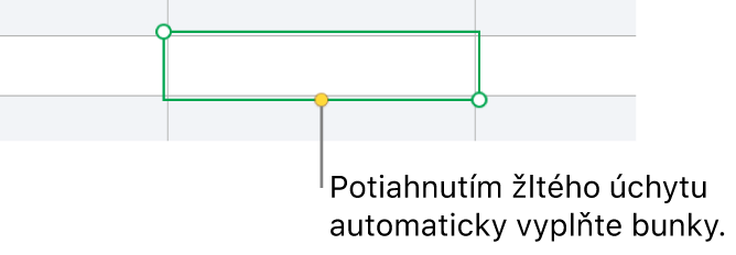 Vybratá bunka so žltým úchytom, ktorého potiahnutím môžete automaticky vypĺňať bunky.