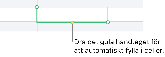 En markerad cell med ett gult handtag du kan dra för att autofylla celler.